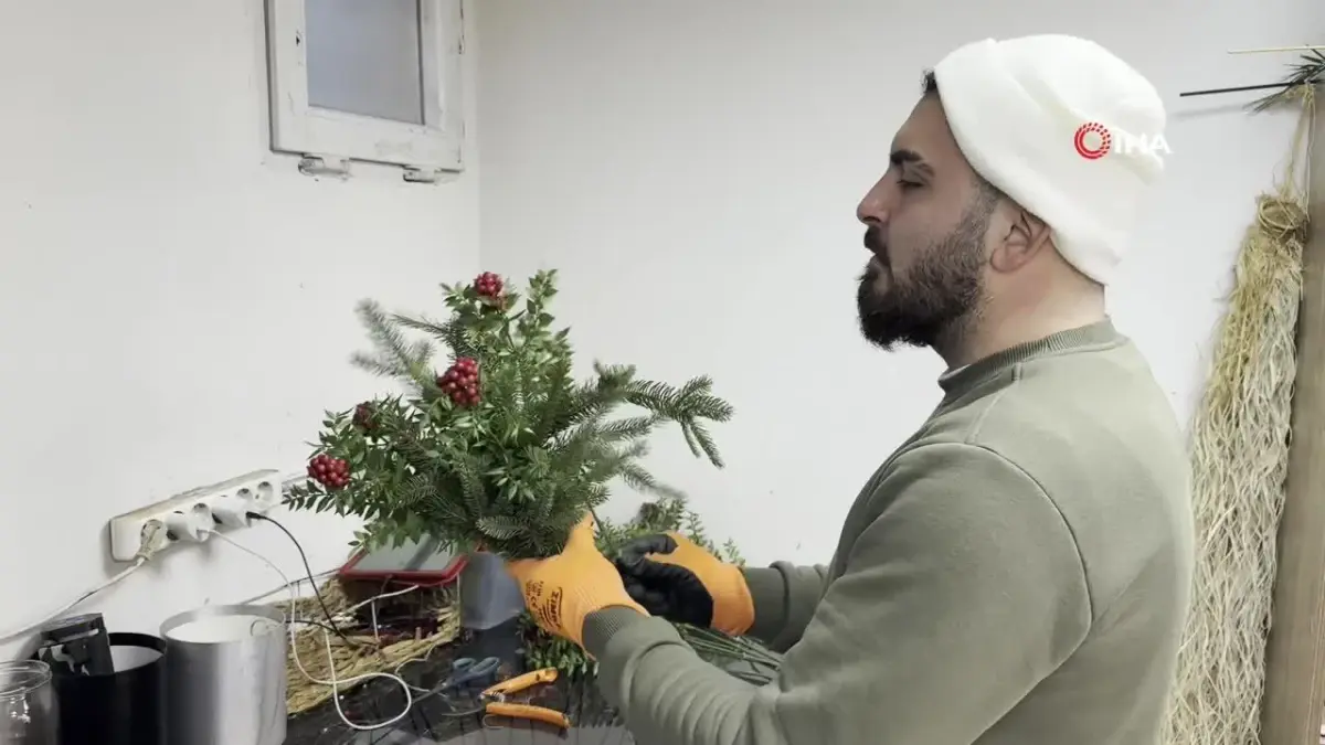 Kokina Çiçeğine Yılbaşı İlgisi