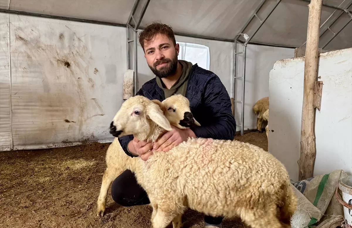 Emre Gültekin’in Hayvancılık Yolculuğu