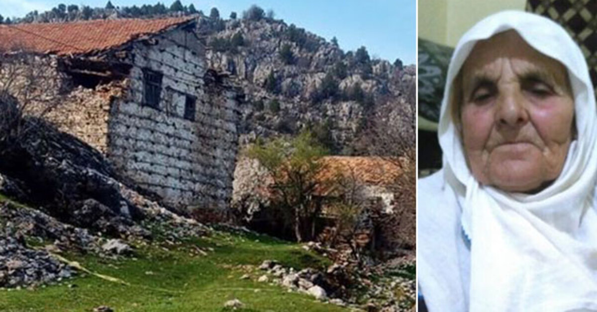Yaşlı kadını öldüren köpeklerin sahibine ödül gibi ceza!