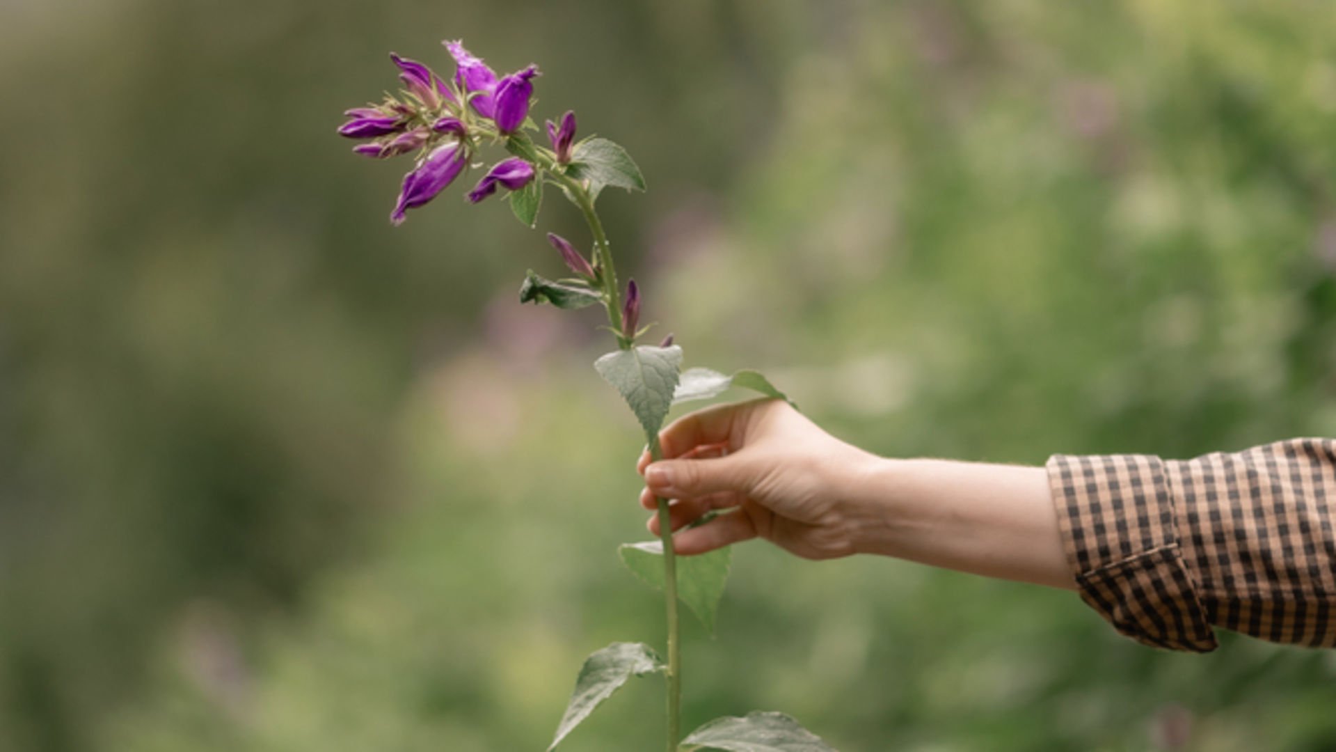 Kendini kabullenmeyi geliştirmenin pratik yolları