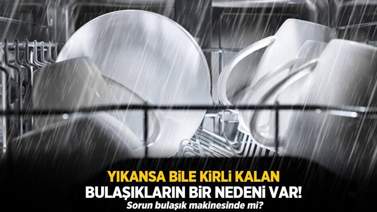 Makineden çıkan bulaşıklar neden kirli? Cevabı çok basit, tek fırça yetiyormuş