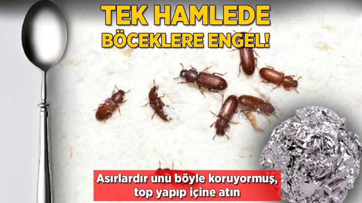 Unu haşereden korumak çok kolay! Top yapıp çuvala atın, aylarca koruyacak