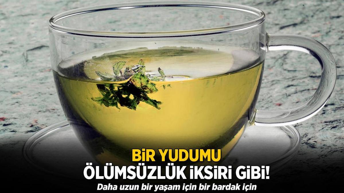 1 fincanı ömrü uzatacak güçte! Yeşil rengiyle organları yıkıyor, zararı sıfır